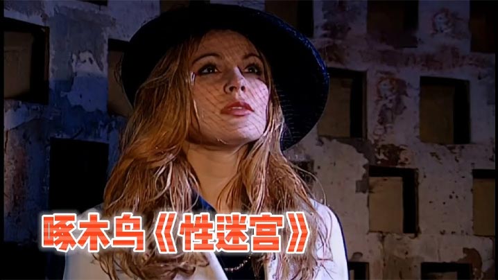 【啄木鸟系列】 性迷宫