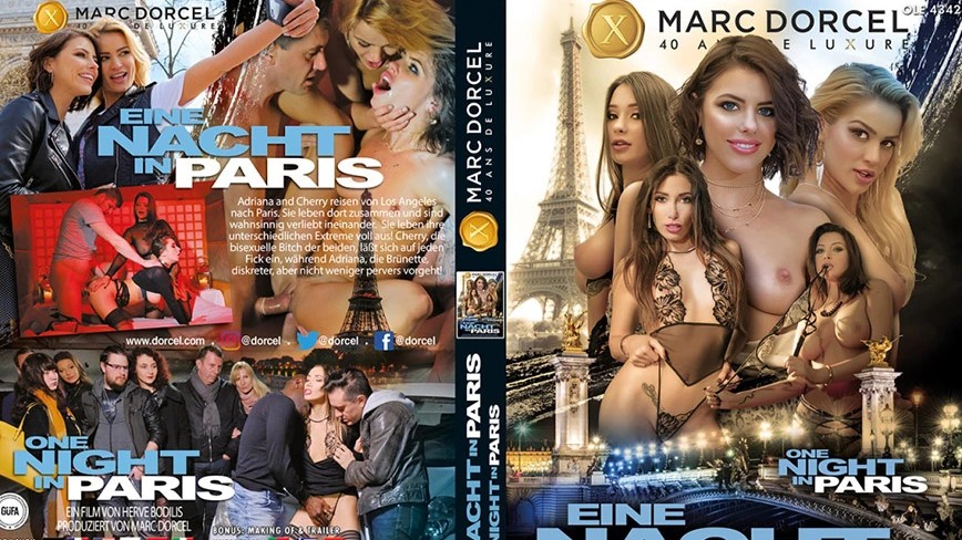 中文字幕-啄木鸟巴黎之夜